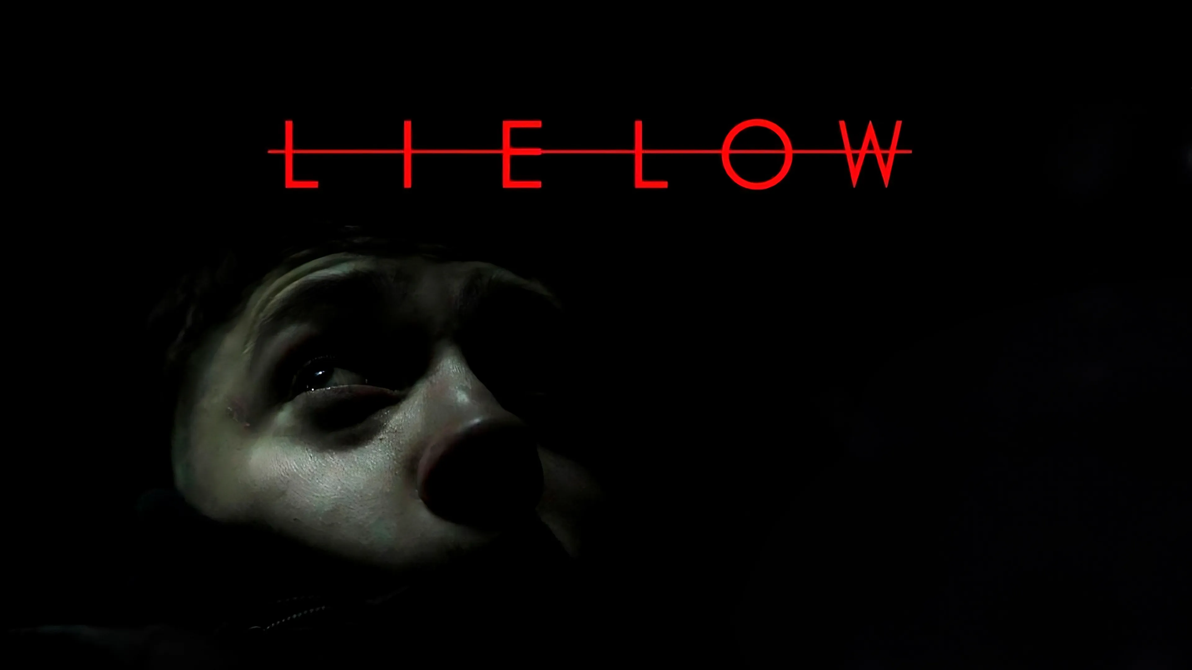 Lie Low poster